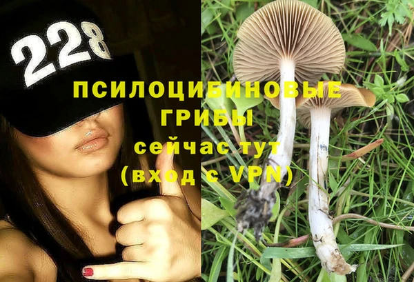 apvp Белоозёрский